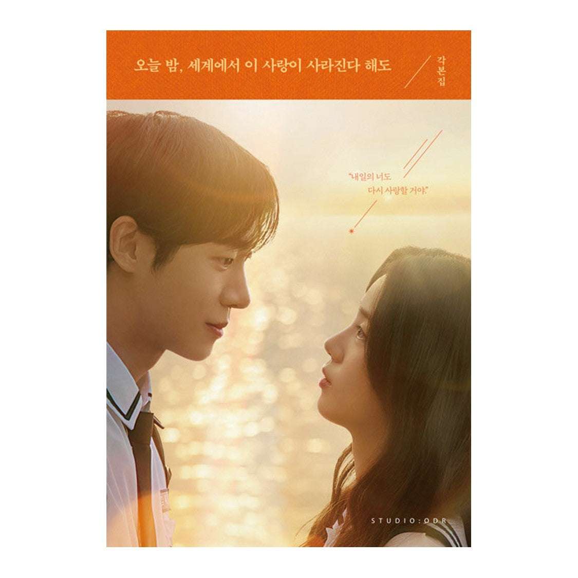 [Script Book] Even If This Love Disappears from the World Tonight (Screenplay Book)