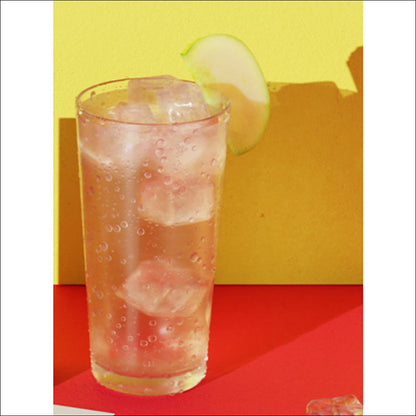 TEAZEN APPLE CIDER VINEGAR 30 Sticks / Zero Sugar