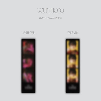 NAM WOO HYUN (INFINITE) [WHITREE] (WHITE VER. / TREE VER.) Album