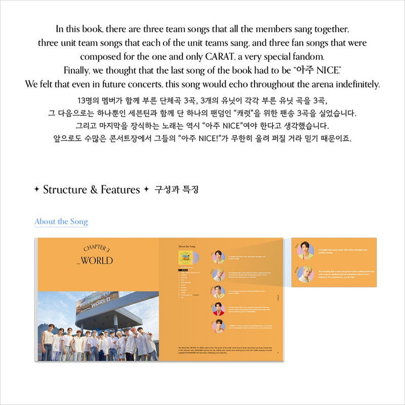 SEVENTEEN LYRICS INSIDE