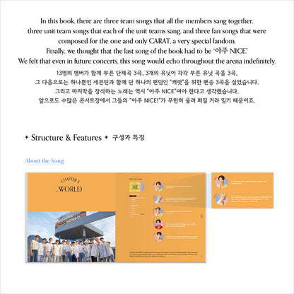 SEVENTEEN LYRICS INSIDE