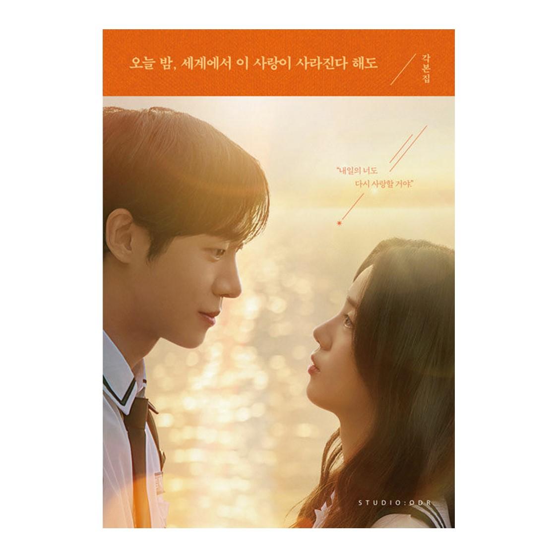 (Script Book) Even If This Love Disappears from the World Tonight  (Screenplay Book)
