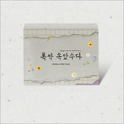 When Life Gives You Tangerines OST - Special Edition / IU / Park Bo-gum