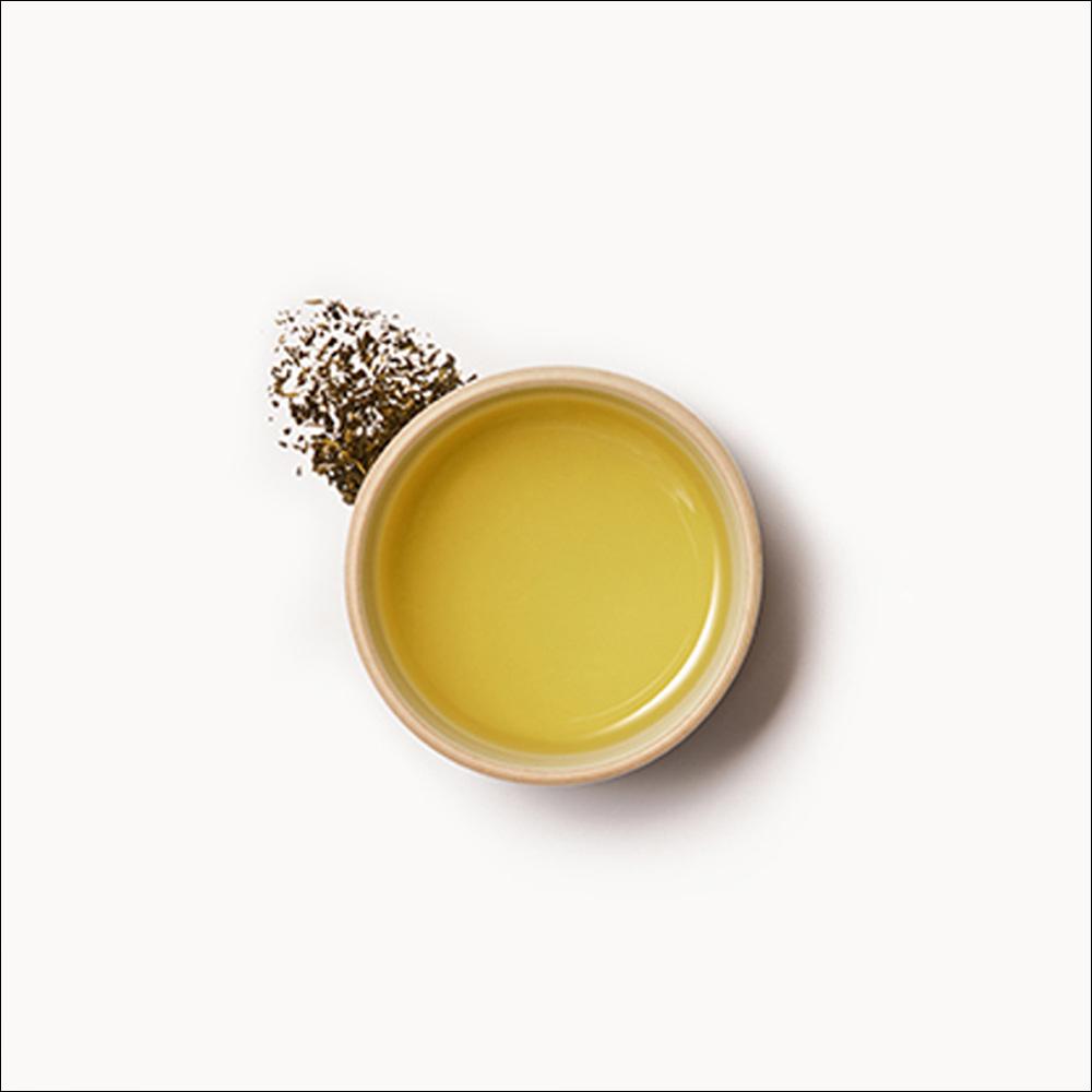 OSULLOC Sunshine Muscat Cold Brew Iced Tea Bags Quick Infusion Premium Muscat Green Tea 50g