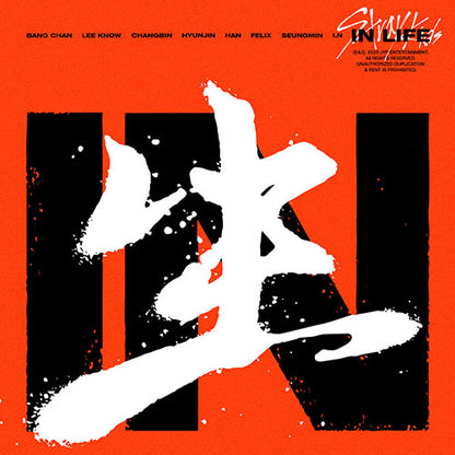 Stray Kids IN LIFE Album