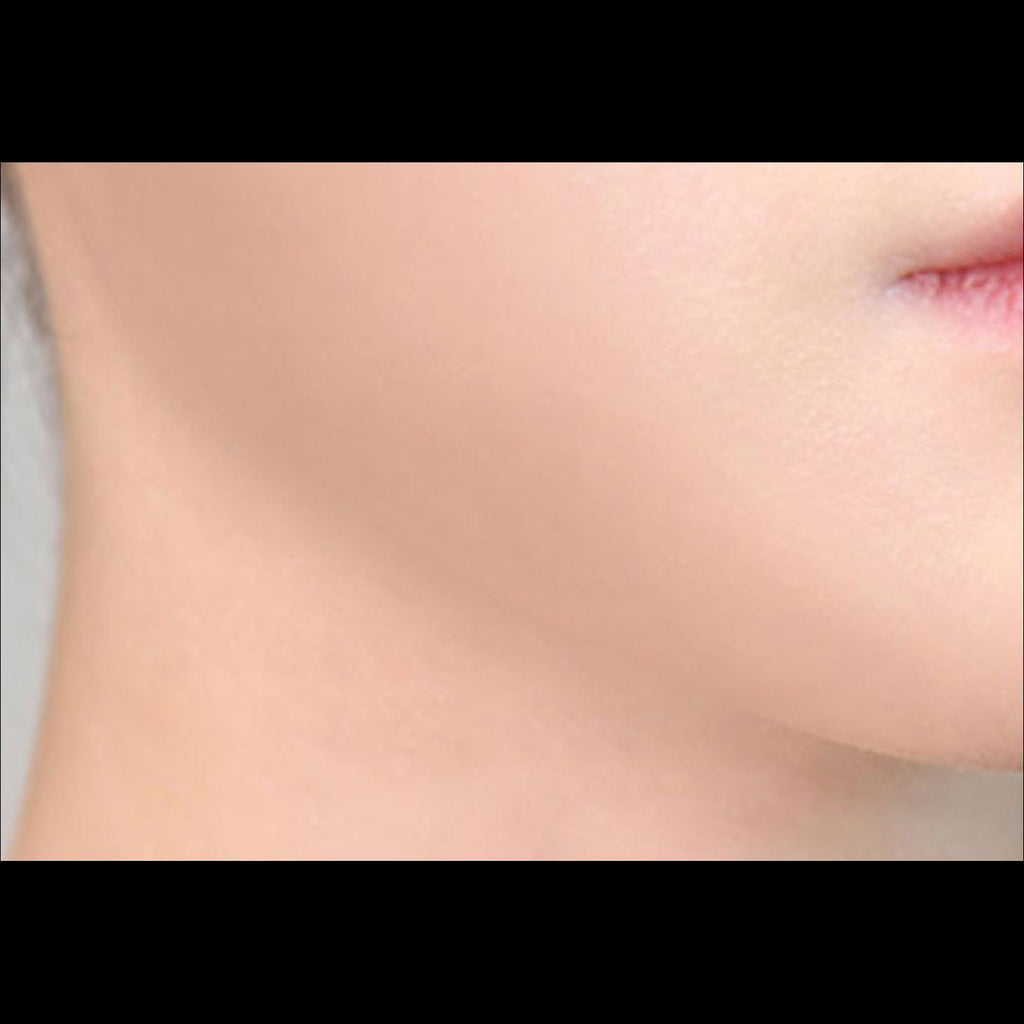 [Too Cool For School] Artclass By Rodin Shading Expert Kit (Neutral) | 9.5g Shading Powder + Dual Contour Brush, K-Beauty