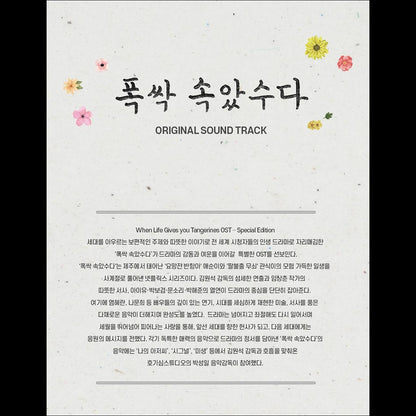 When Life Gives You Tangerines OST - Special Edition / IU / Park Bo-gum