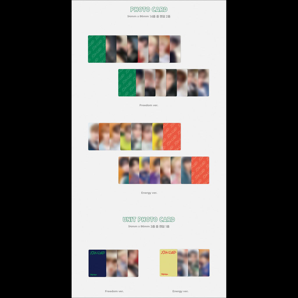 THE KINGDOM - REALIZE 8th Mini Album (Freedom ver., Energy ver.)