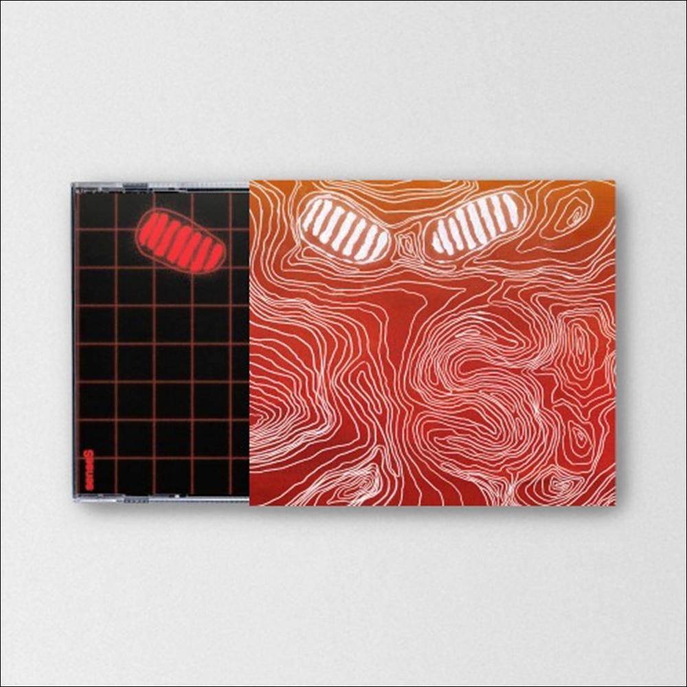 Hong Dabin - senseS Album