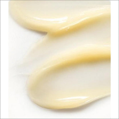 [CNP Laboratory] Propolis Essential Eye Cream 50ml - Large Size Anti-Wrinkle & Brightening, Deep Nourishing, Elasticity Eye Care, K-Beauty