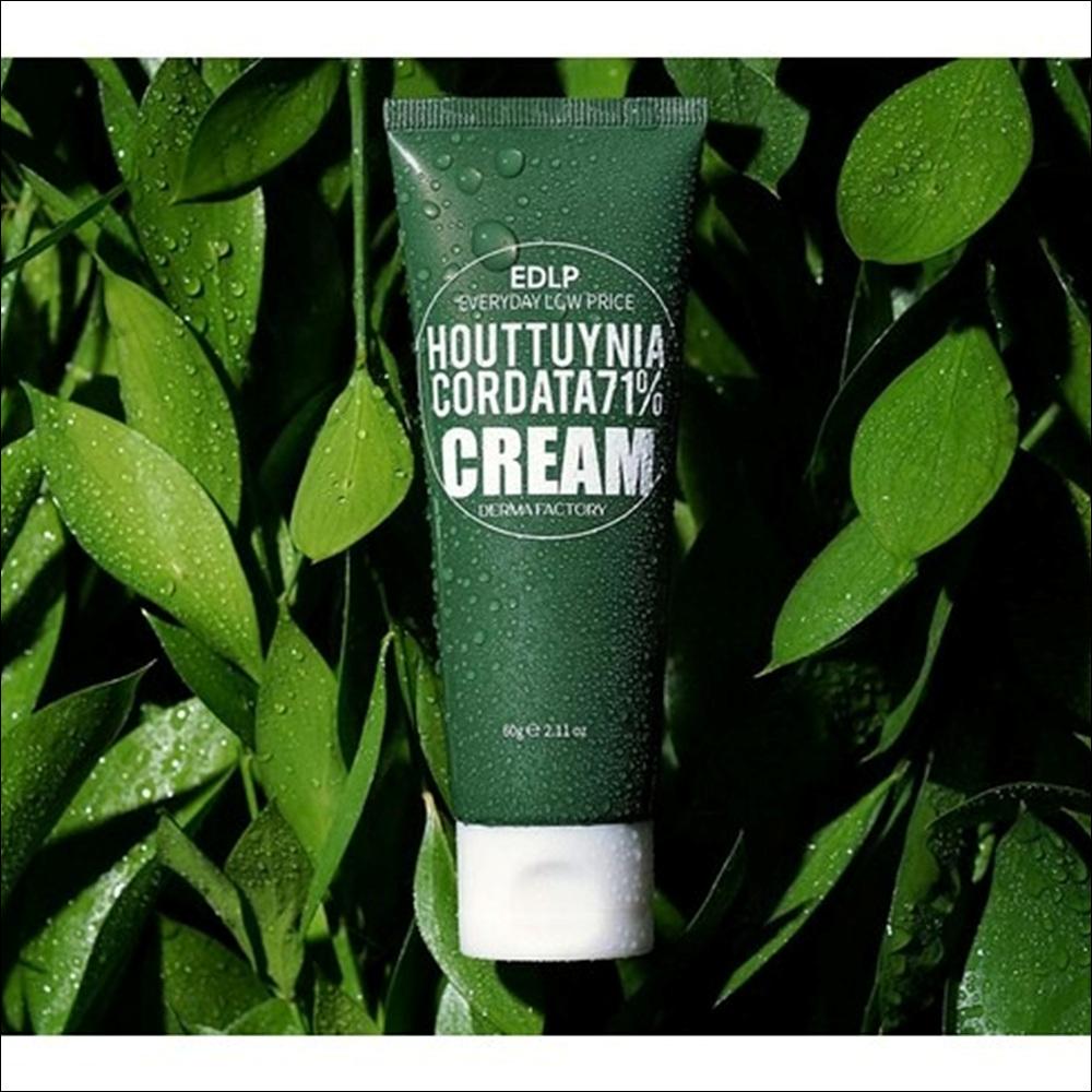 Derma Factory Houttuynia Cordata 71% Cream