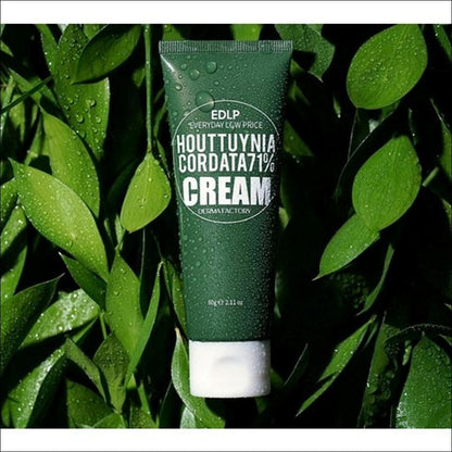 Derma Factory Houttuynia Cordata 71% Cream