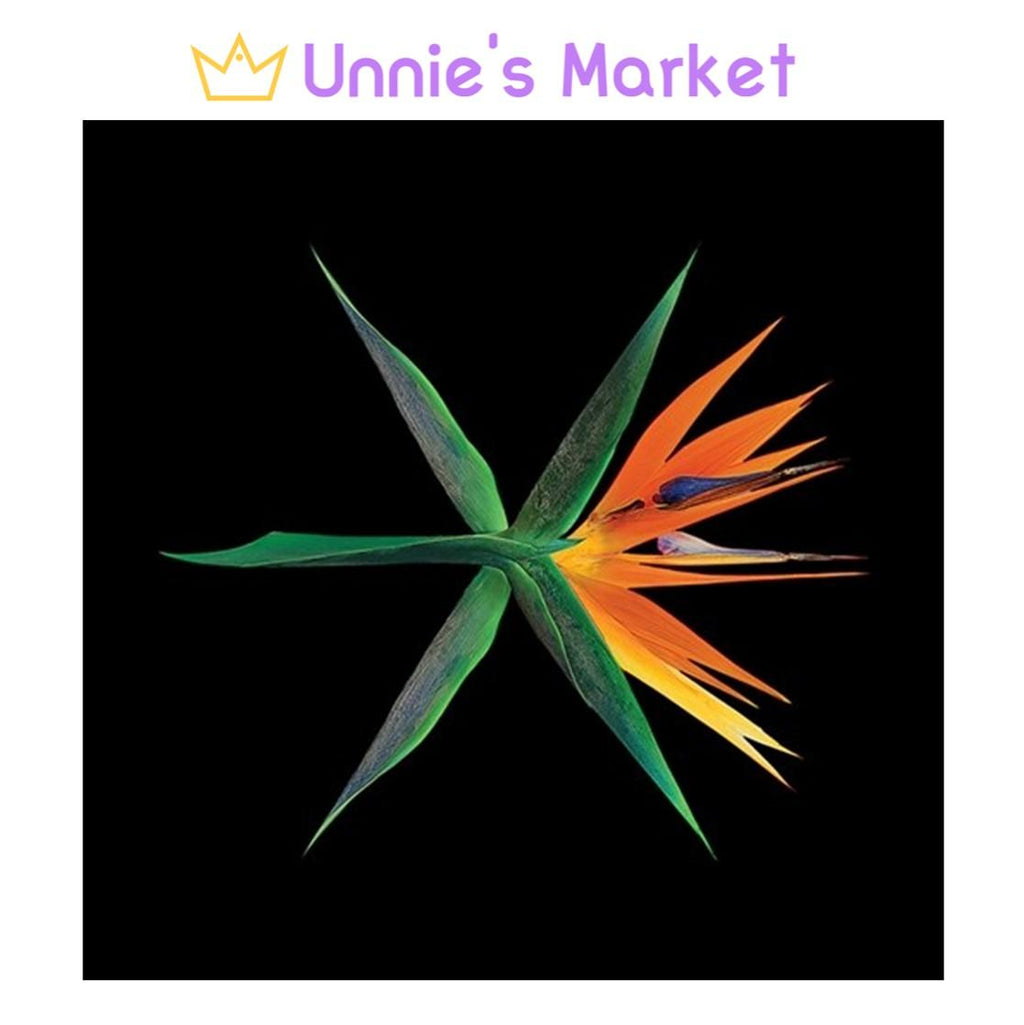 EXO - The War (Chinese Ver.) / 4th Album