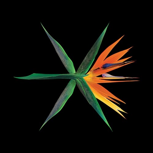 EXO - The War (Chinese Ver.) / 4th Album