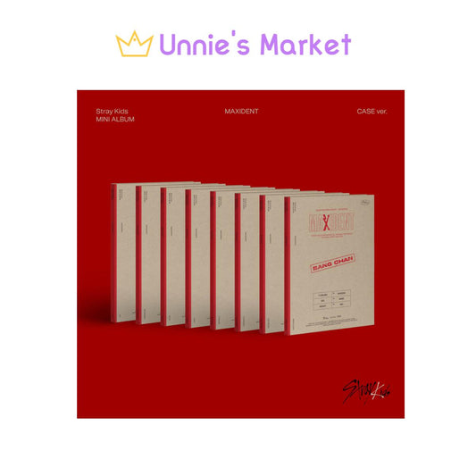 Stray Kids MAXIDENT Case Ver.