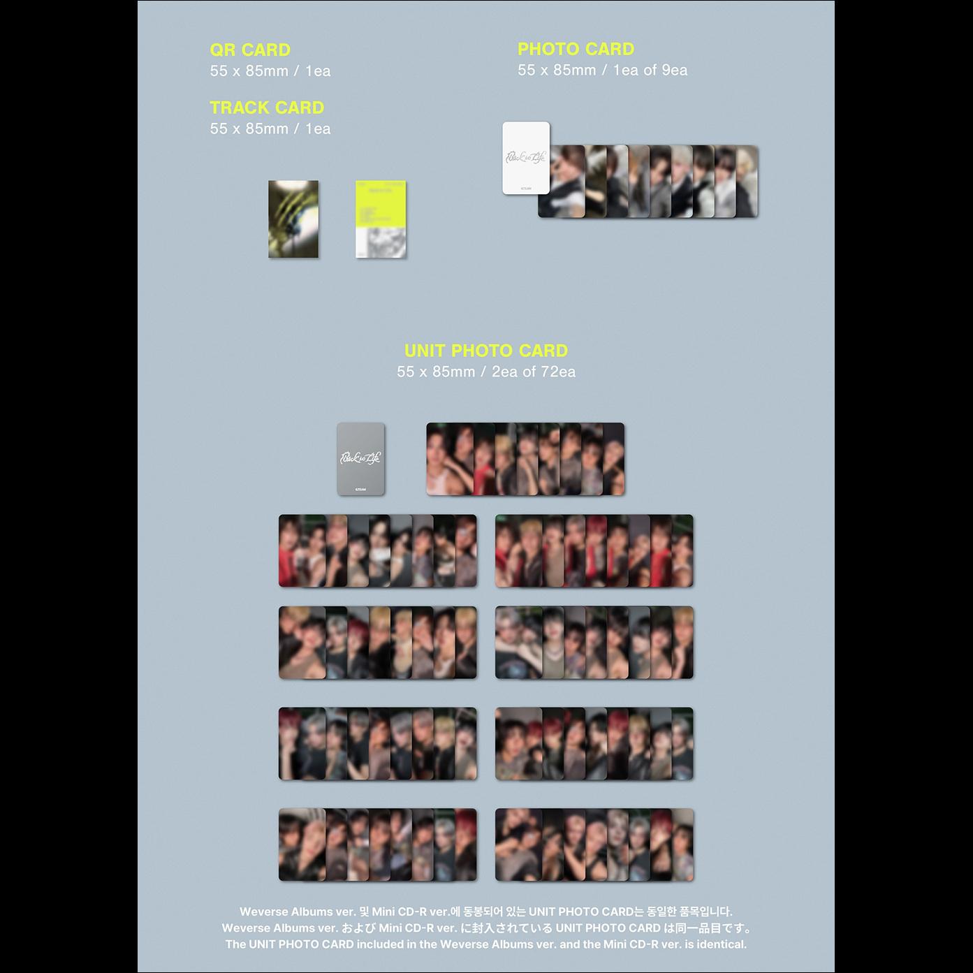 &TEAM - Back to Life Photocard Box (Weverse Albums ver.) / KR 1st Mini Album