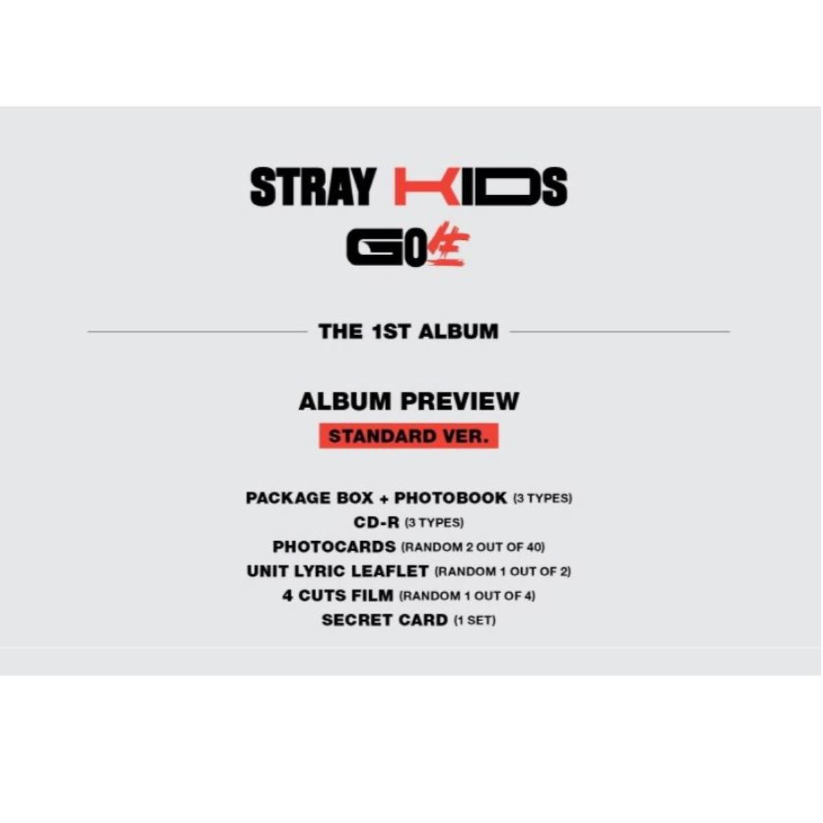 Stray Kids GO Life Album