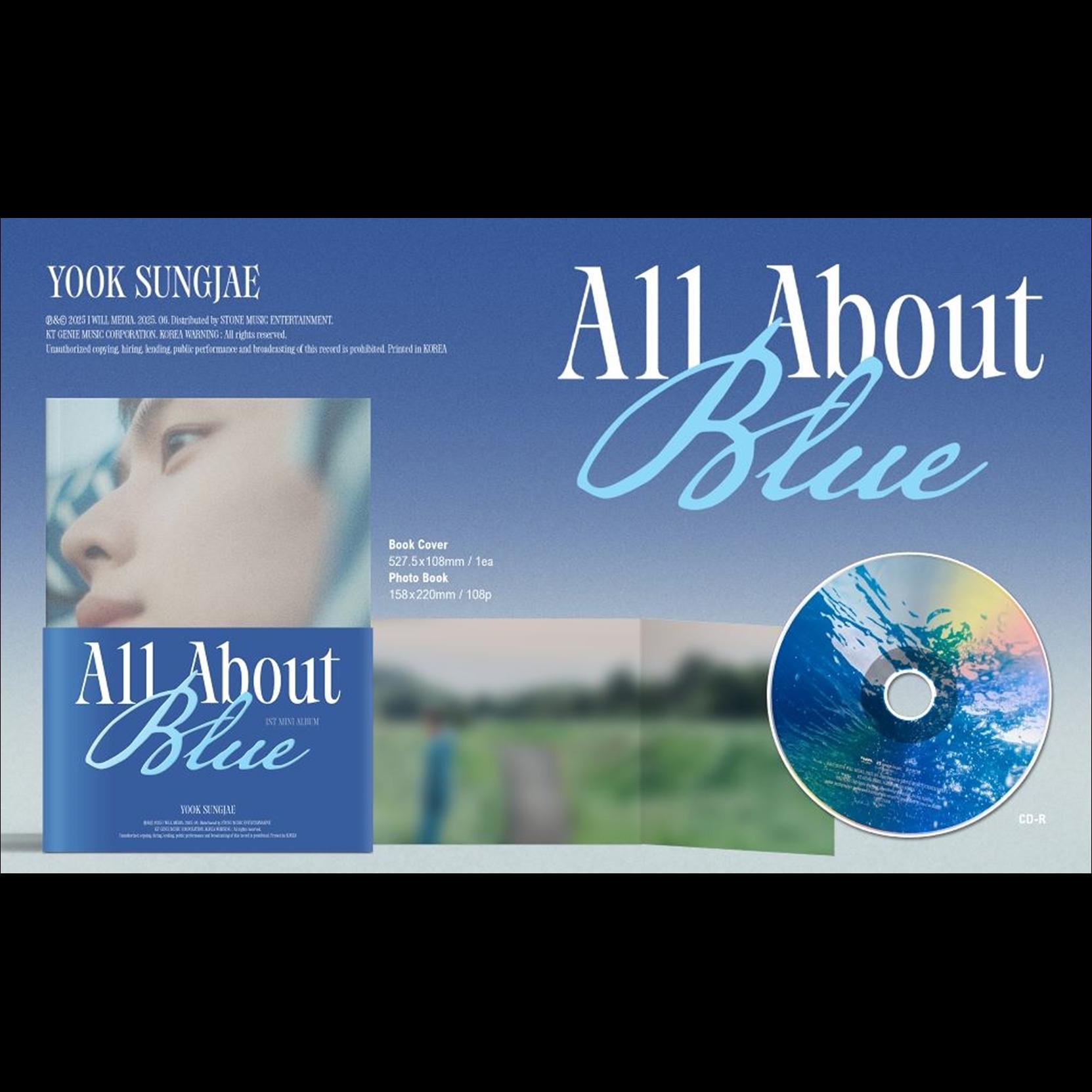 YOOK SUNGJAE (BTOB) - All About Blue